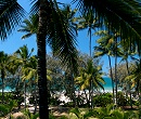 Port Douglas Beachfront Terrace Apartments
