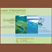 Cape Tribulation Wilderness Cruises