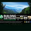 PNG Forest Timber Products